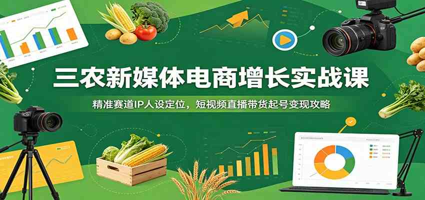 三农新媒体电商增长实战课：精准赛道IP人设定位，短视频直播带货起号变现攻略-985网创