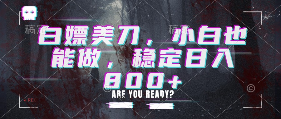 白嫖美刀，小白也能做，稳定日入800+-985网创