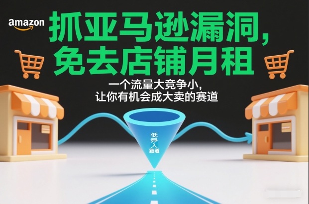 抓亚马逊漏洞，免去店铺月租，一个流量大竞争小，让你有机会成大卖的赛道-985网创