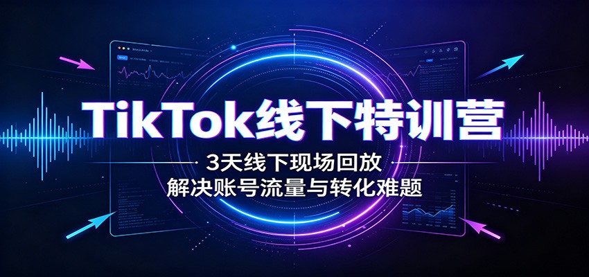 TikTok线下特训营：3天线下现场回放，解决账号流量与转化难题-985网创