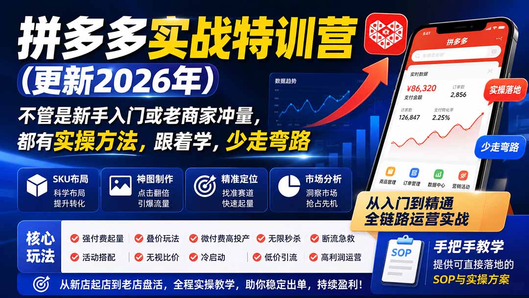 拼多多实战特训营(更新26年0831-985网创