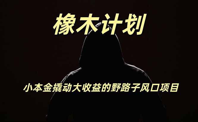 橡木计划，小投入撬动高回报的风口野路子项目，一天投入2小时左右-985网创