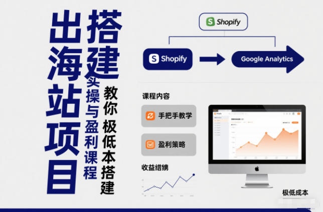 小淘出海站项目，搭建实操与盈利课程，手把手教你用极低成本搭建-985网创
