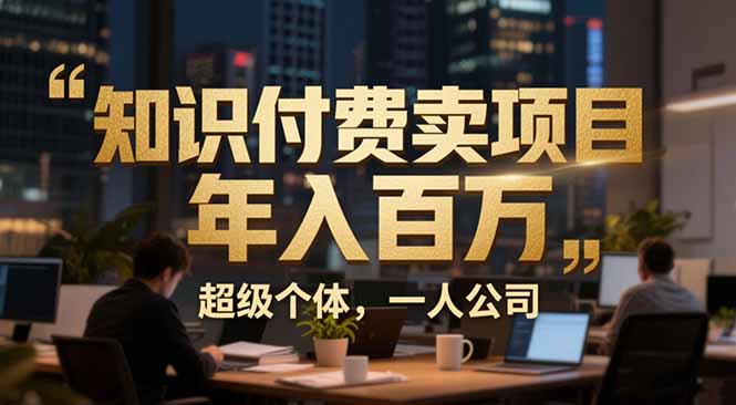 从0到年入百万：超级个体实战心得公开，个人IP×精准引流×成交系统全拆解-985网创