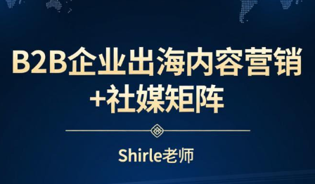 shirle老师·B2B企业出海内容营销+社媒矩阵-985网创