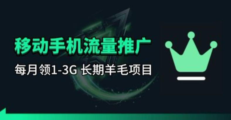 手机流量领取推广_每月一轮，刚需类的长期项目-985网创