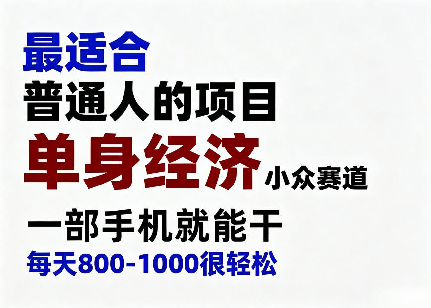 身经济小众赛道，一部手机就能干，每天搞个800-1000很轻松，最适合普通人的项目【揭秘】-985网创