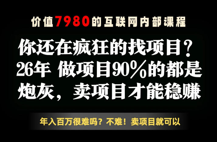 26年请不要疯狂的找项目了，卖项目远比你想象的暴利，你也可以月入10W+【揭秘】-985网创