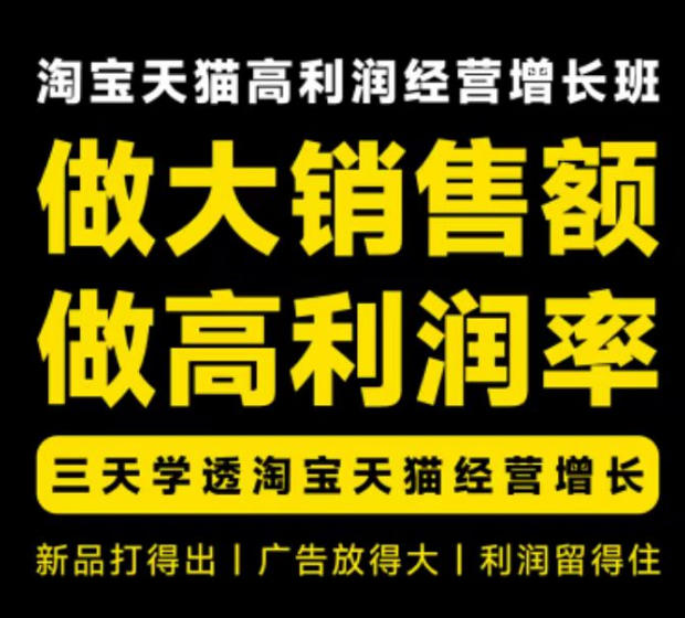 天猫淘宝高利润经营增长班杭州线下课31期8月22-24日，做大销售额做高利润率，三天学透淘宝天猫经营增长-985网创