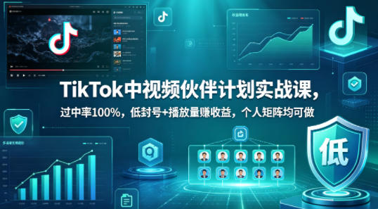 TikTok中视频伙伴计划实战课，过中率100%，低封号+播放量賺收益，个人矩阵均可做-985网创