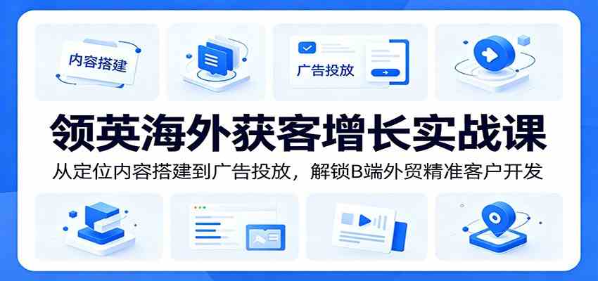 领英海外获客增长实战课：从定位内容搭建到广告投放，解锁B端外贸精准客户开发-985网创
