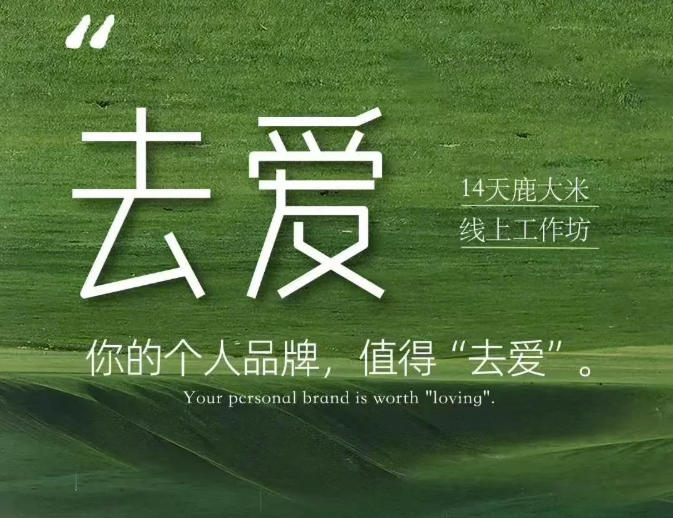 去爱14天鹿大米线上工作坊，你的个人品牌，值得“去爱”-985网创