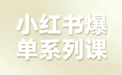 小红书爆单系列课，聚焦小红书电商全链路增长(更新)-985网创