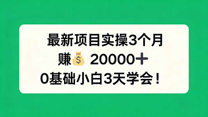 最新项目实操3个月，赚钱20000+，0基础小白3天学会！-985网创