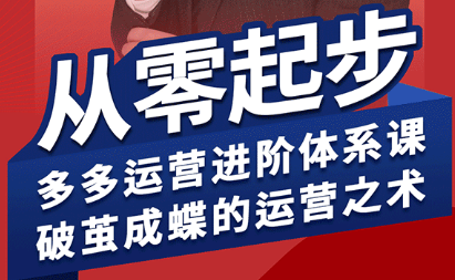 海神·拼多多运营进阶系统课(更新2026)-985网创