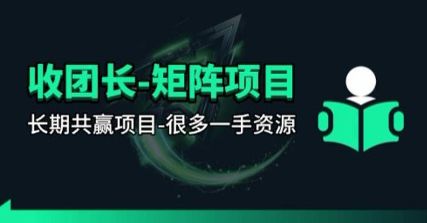 【团长合作】视频矩阵项目_招发手矩阵+剪辑师，共赢项目【揭秘】-985网创