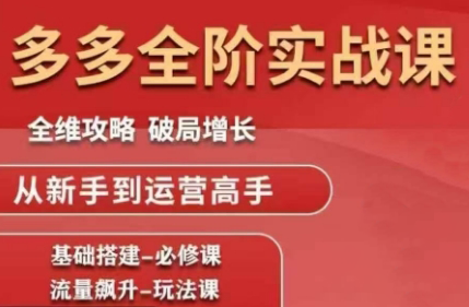 大炮·拼多多全阶实战课程(更新2026)-985网创