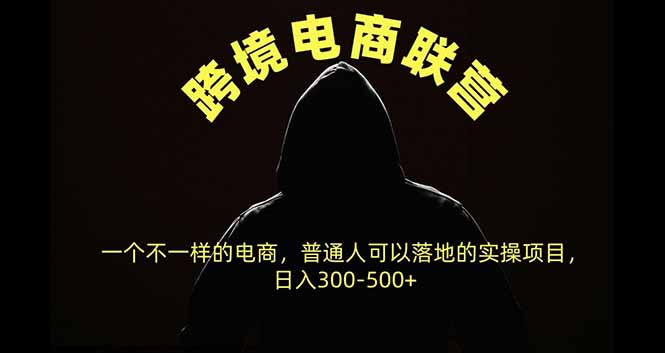 跨境电商联营，一个不一样的电商，普通人可操作日入300-500+-985网创