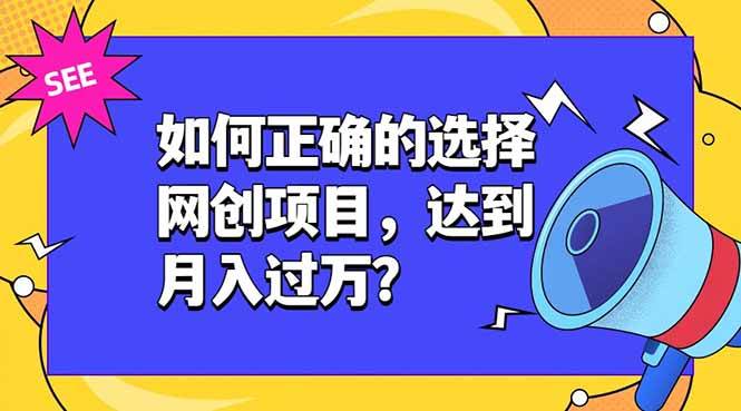 （19176期）如何正确的选择网创项目，达到月入过万？，本课程教你正确选择项目。-985网创
