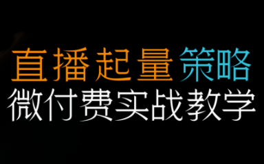 半野老师·直播带货起量与微付费必学课视频号(更新2026)-985网创