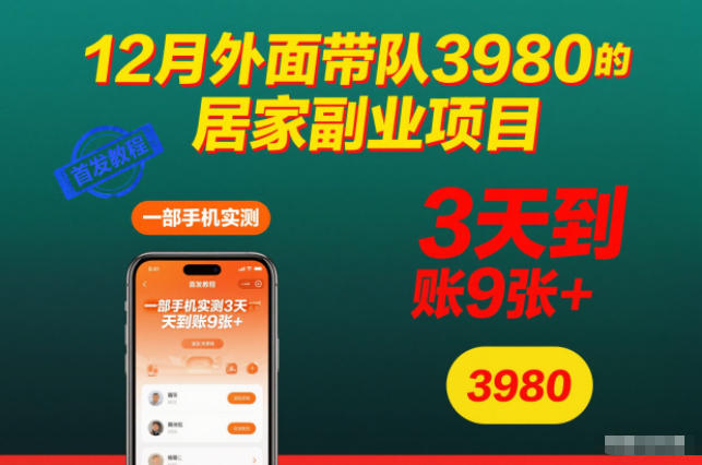 12月外面带队3980的居家副业项目，一部手机实测3天到账9张+，首发教程【揭秘】-985网创