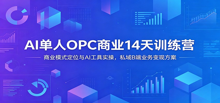 AI单人OPC商业14天训练营：商业模式定位与AI工具实操，私域B端业务变现方案-985网创