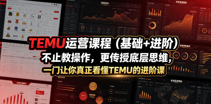 TEMU运营课程（基础+进阶），不止教操作，更传授底层思维，一门让你真正看懂TEMU的进阶课-985网创