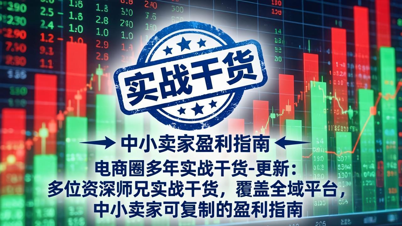 电商圈多年实战干货-更新5月10：多位资深师兄实战干货/覆盖全域平台，中小卖家可复制的盈利指南-985网创