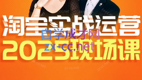 推易·淘宝全套运营现场课程(更新12月)-985网创