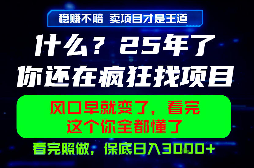 26年，请不要疯狂的找项目做了！卖项目才是真的稳賺不赔，看完照做，保底日入1k+【揭秘】-985网创