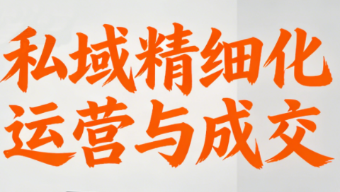 楚老师·私域精细化运营与成交-985网创