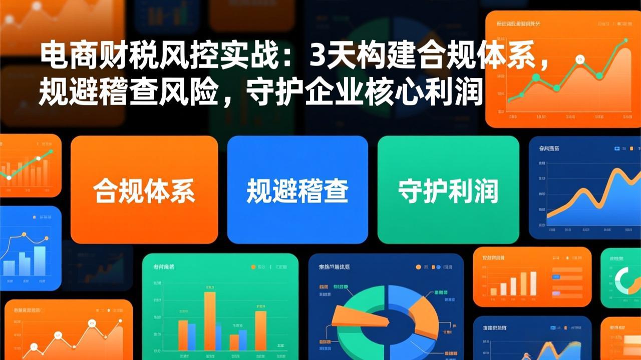 电商财税风控实战：3天构建合规体系，规避稽查风险，守护企业核心利润-985网创