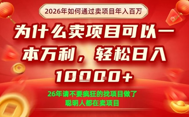 一单净利润1K+，26年想年入100个W，死磕卖项目就够了【揭秘】-985网创
