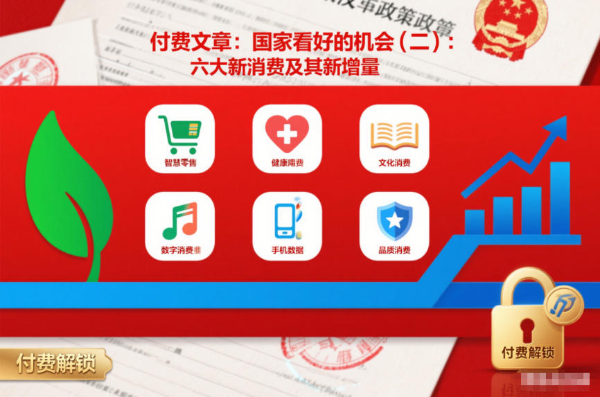 付费文章：国家看好的机会(二)：六大新消费及其新增量-985网创