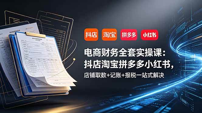 （19001期）电商财务全套实操课：抖店淘宝拼多多小红书，店铺取数+记账+报税一站式解决-985网创
