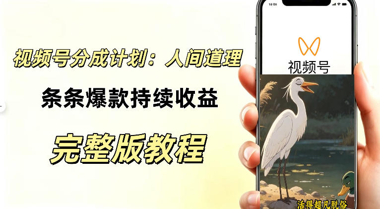 视频号新玩法之AI动漫画风励志视频，不用会画画、不用拍摄，持续化收益，详细拆解-985网创