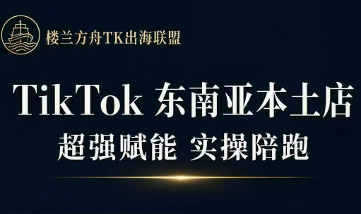 三叔·TikTok东南亚本土店实操(更5月)-985网创
