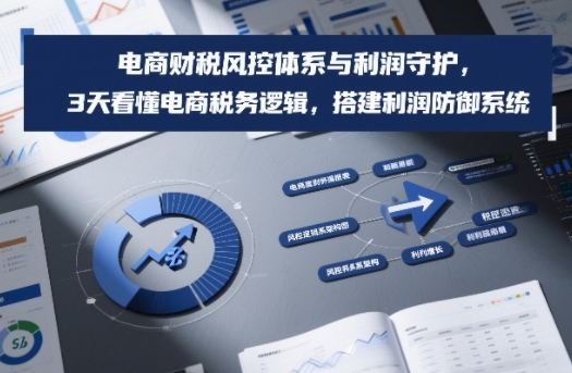 电商财税风控体系与利润守护，3天看懂电商税务逻辑，搭建利润防御系统-985网创