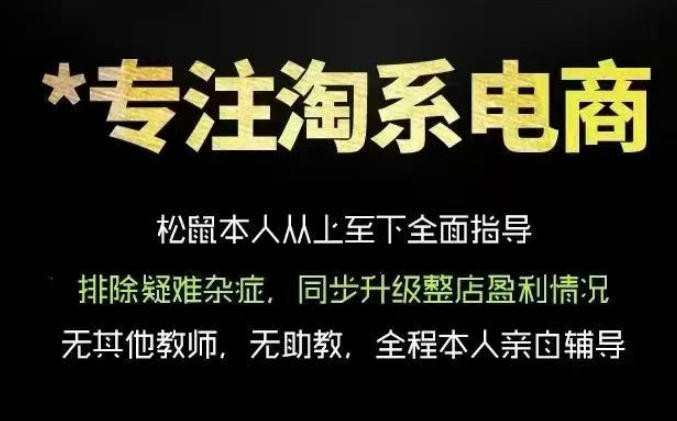 松鼠会电商VIP课程，从基础布局到高阶优化，助你掌握淘宝运营逻辑，提升店铺流量与转化-985网创