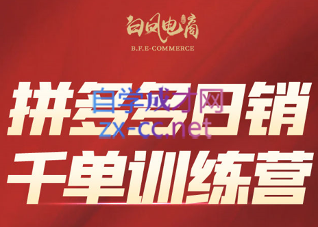 白凤电商·拼多多日销千单训练营(更新2月)-985网创