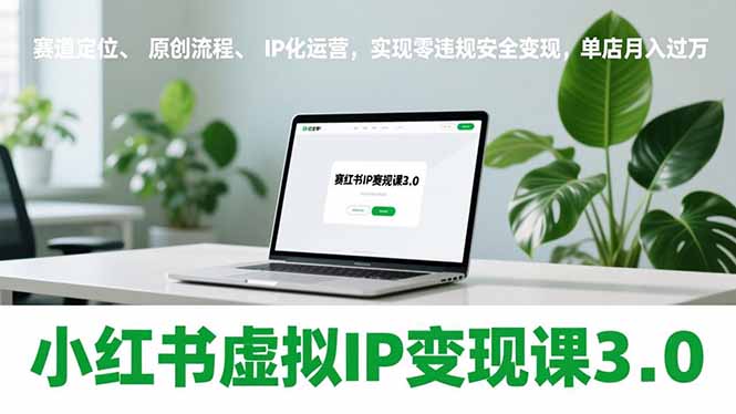 小红书虚拟IP变现课3.0，赛道定位、原创流程、IP化运营，实现零违规安全变现，单店月入过万-985网创