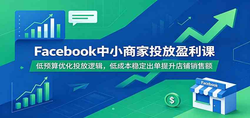 Facebook中小商家投放盈利课：低预算优化投放逻辑，低成本稳定出单提升店铺销售额-985网创