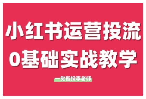 小红书运营投流，小红书广告投放从0到1的实战课，学完即可开始投放(更新26年)-985网创