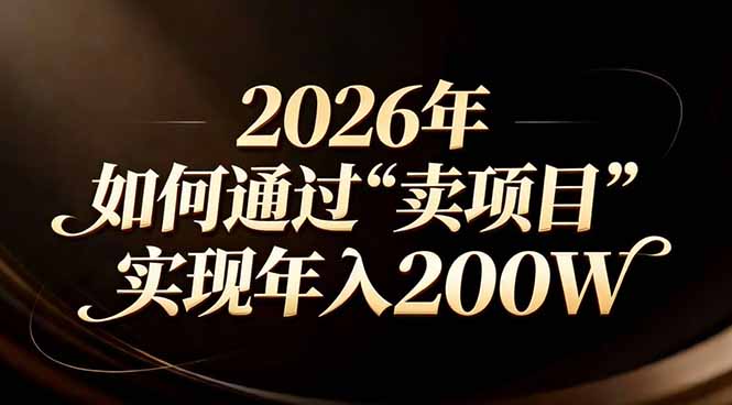 站在2026年的十字路口：一个普通人如何通过卖项目实现年入200万-985网创