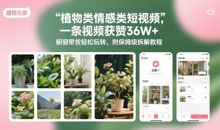 植物类情感类短视频，一条视频获赞36W+，橱窗带货轻松玩转，附保姆级拆解教程-985网创