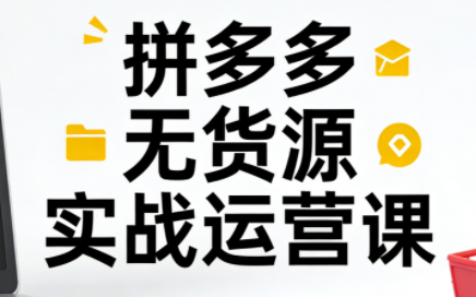 子枫老师·拼多多无货源实战运营课(更新12月)-985网创