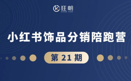 盗坤·抖音小红书视频号短视频带货与直播变现(11-21期)【更新】-985网创