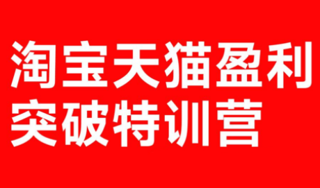 玺承·淘宝天猫盈利突破特训营(25年12月线下课)【音频+字幕】-985网创