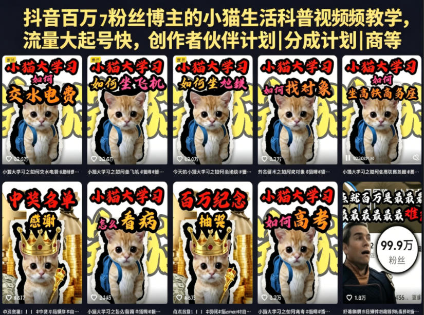 抖音百万粉丝博主的小猫生活科普视频教学，流量大起号快，创作者伙伴计划|分成计划|商单|收徒等-985网创