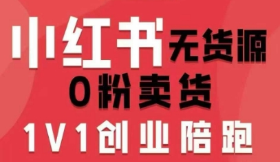 小红书无货源0粉电商课，开店准备、选品策略、笔记撰写、视频剪辑、数据分析、账号打造、资料文档(更新26年2月)-985网创